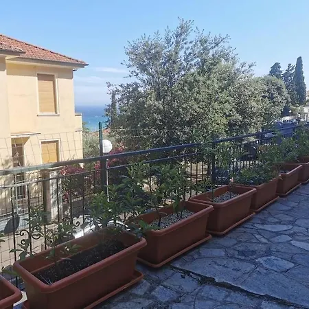 Daisy'S - Citra 008031-Lt-0879 Imperia